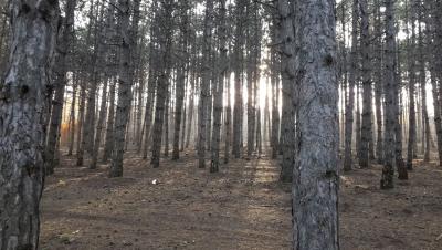 Прикрепленное изображение: 20131031_143816.jpg